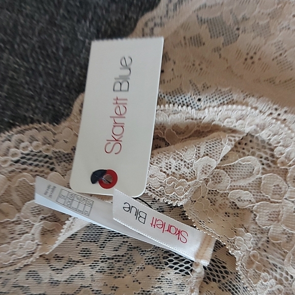 Skarlett Blue Lace Panty in Beige - Picture 4 of 6